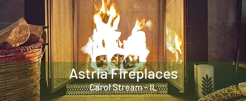 Astria Fireplaces Carol Stream - IL