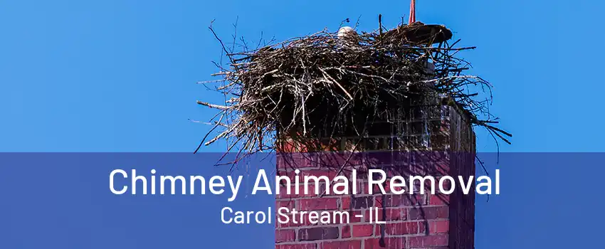 Chimney Animal Removal Carol Stream - IL