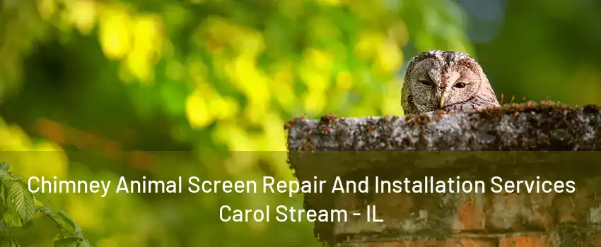 Chimney Animal Screen Repair And Installation Services Carol Stream - IL