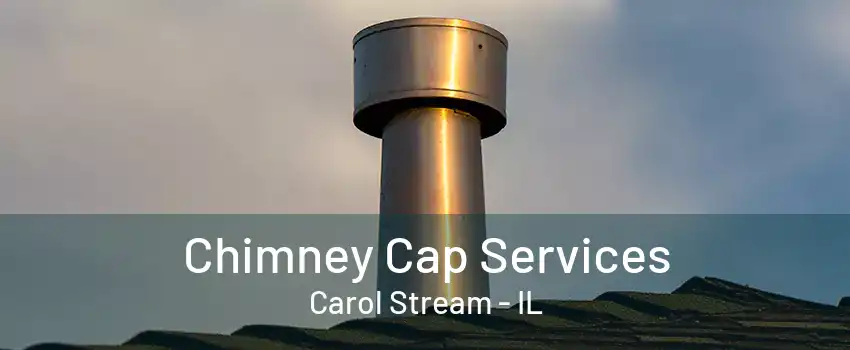 Chimney Cap Services Carol Stream - IL