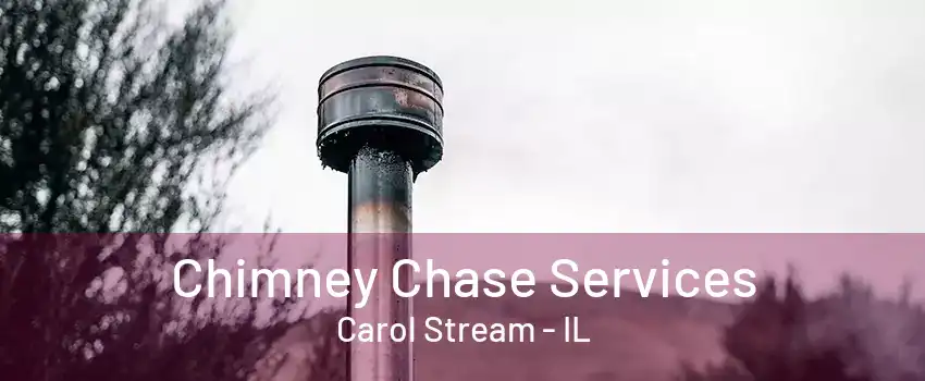 Chimney Chase Services Carol Stream - IL