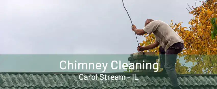 Chimney Cleaning Carol Stream - IL