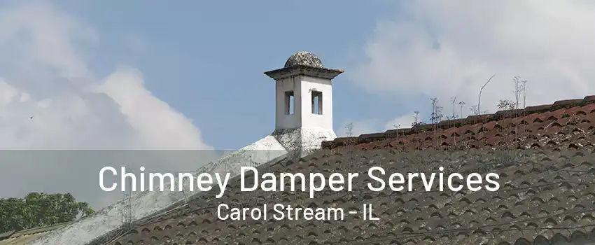 Chimney Damper Services Carol Stream - IL