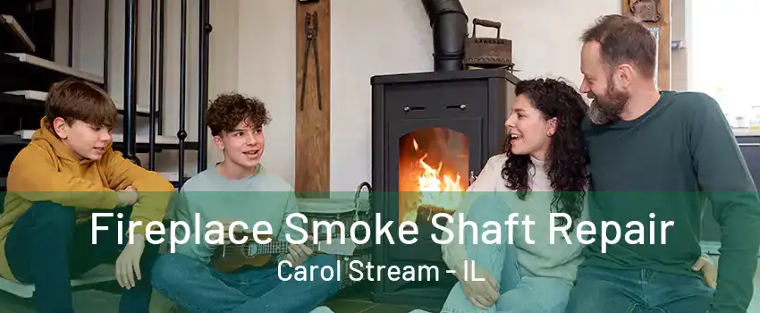 Fireplace Smoke Shaft Repair Carol Stream - IL