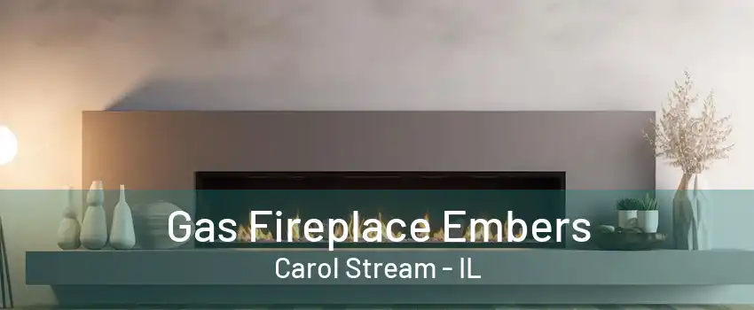 Gas Fireplace Embers Carol Stream - IL