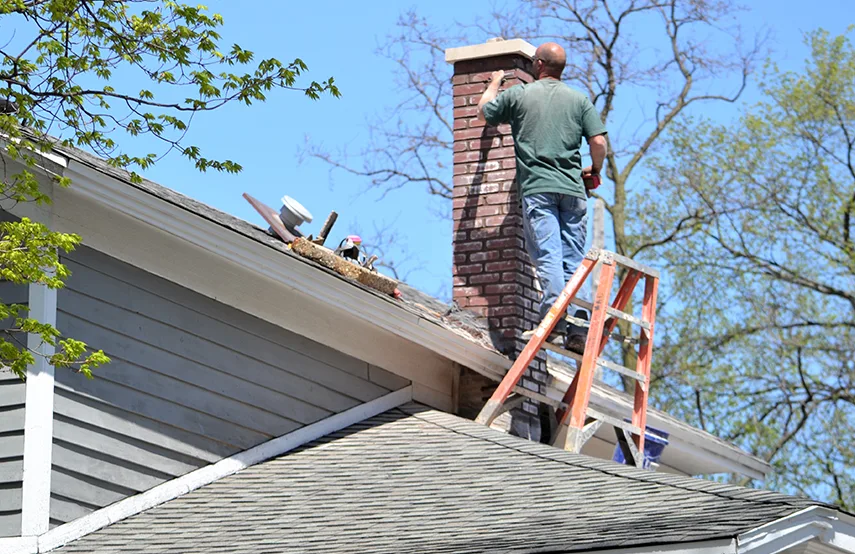 Chimney & Fireplace Inspections Services in Carol Stream