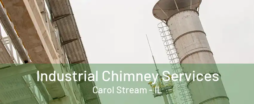 Industrial Chimney Services Carol Stream - IL