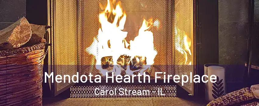 Mendota Hearth Fireplace Carol Stream - IL