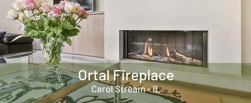 Ortal Fireplace Carol Stream - IL