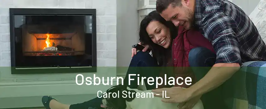 Osburn Fireplace Carol Stream - IL