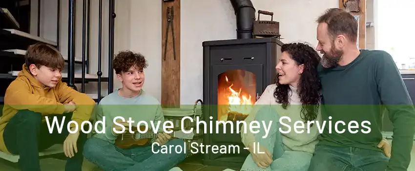 Wood Stove Chimney Services Carol Stream - IL